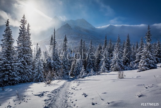 Picture of Enjoy your winter journey in Tatras Mountains Poland